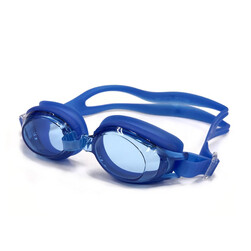 View Anti-fog Goggle