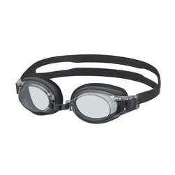 View Anti-fog Goggle