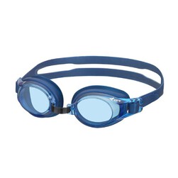 View Anti-fog Goggle