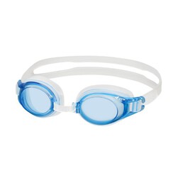 View Anti-fog Goggle
