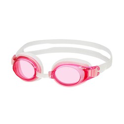 View Anti-fog Goggle