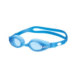 View Anti-fog Goggle