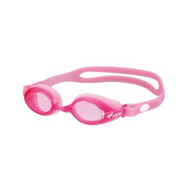 View Anti-fog Goggle